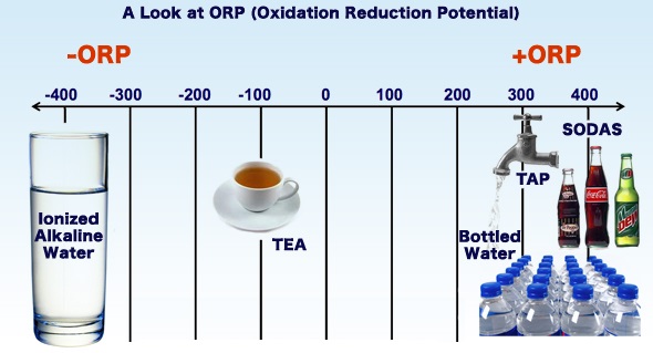 oxidative reduction potential